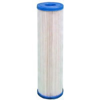701-20/10 Premium Polyester Filter Cartridge 10″